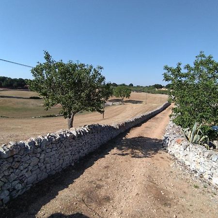 Villa Masseria Catucci Agriturismo Alberobello Exterior foto