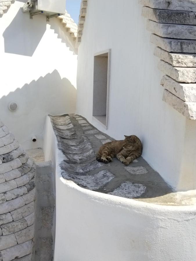 Villa Masseria Catucci Agriturismo Alberobello Exterior foto