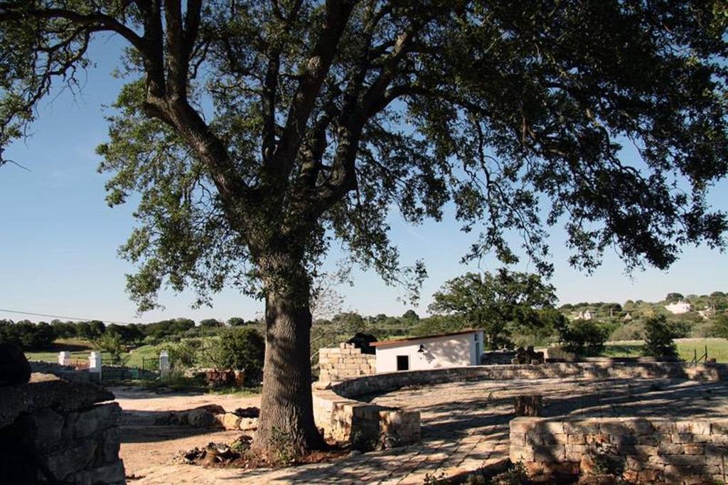 Villa Masseria Catucci Agriturismo Alberobello Exterior foto